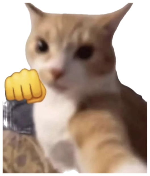 Orange and white cat staring at the camera with a fist emoji poised to punch sticker