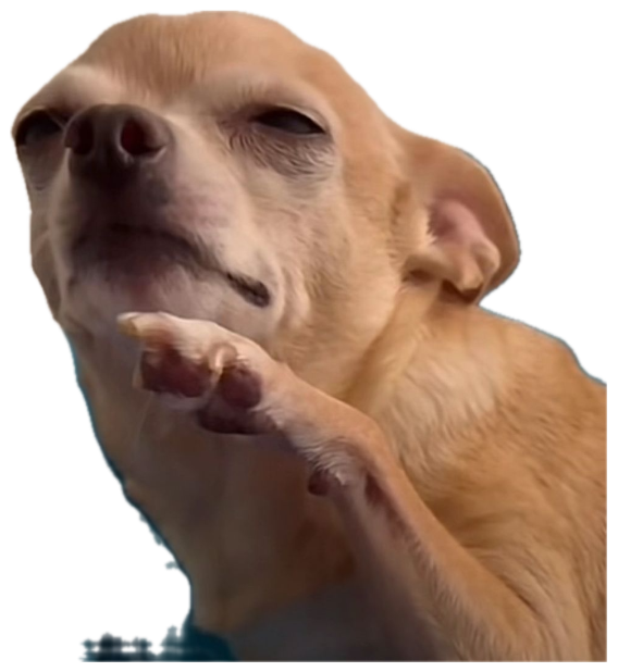 Chihuahua tilting its chin up with a deeply self-satisfied smirk sticker