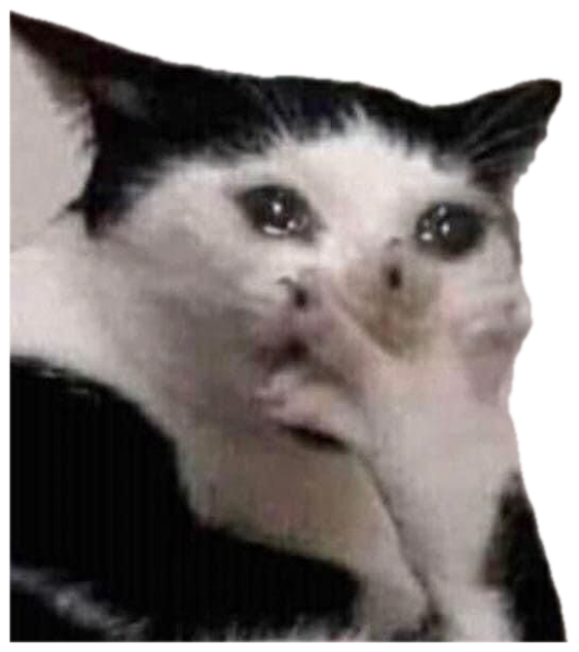 A black-and-white cat with a hand near its mouth and teary eyes looking like it's about to cry sticker