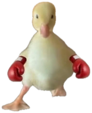 Fluffy duckling wearing tiny red boxing gloves captioned 'WANNA FIGHT?' sticker