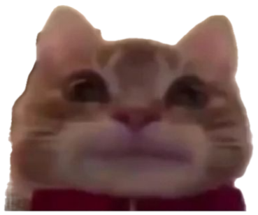 Blurry orange cat pressed close to the camera with puffed cheeks and a tight-lipped stare sticker