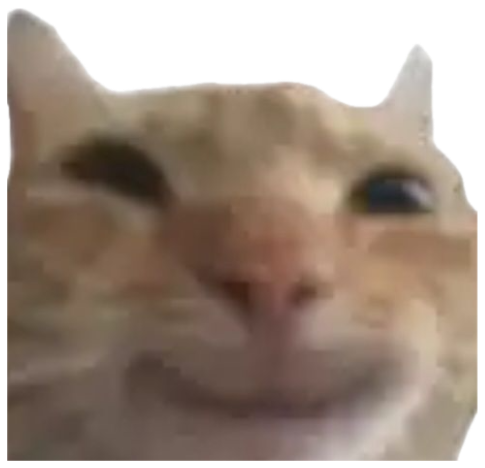 Blurry close-up of a cream cat wearing a sly, smug little grin sticker