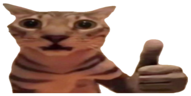 Wide-eyed cat giving a thumbs up over the caption 'hamburbur' sticker