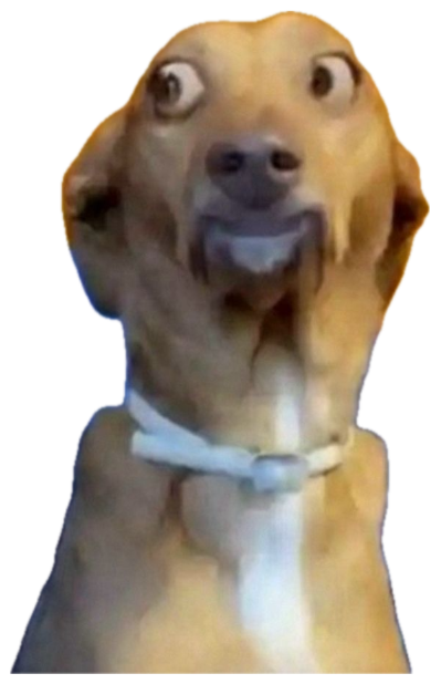 Dog with bug-eyes and a gaping mouth caught in pure shock sticker