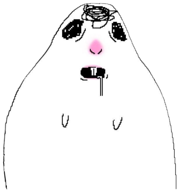 Minimal blob drawing with scribbled teary eyes and a small quivering frown sticker