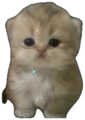 Tiny Scottish Fold kitten with sparkles over a moody night sky and 'we on the same freakuency' sticker