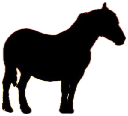 Horse silhouette against a fiery sunset captioned 'I Don't Know' sticker