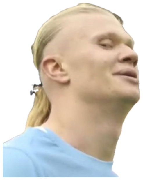 Erling Haaland with eyes closed and a serene smug expression in a stadium crowd sticker