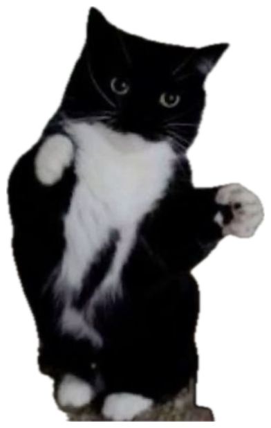 Black and white tuxedo cat standing upright with paws raised, ready to fight sticker