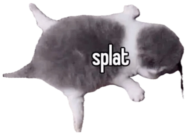 Grey kitten face-down and fully flopped on a rug, labeled 'splat' sticker
