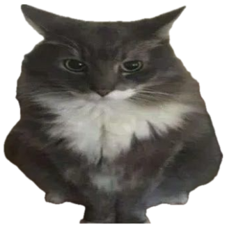 Fluffy gray cat glaring straight ahead, captioned 'who even you' sticker