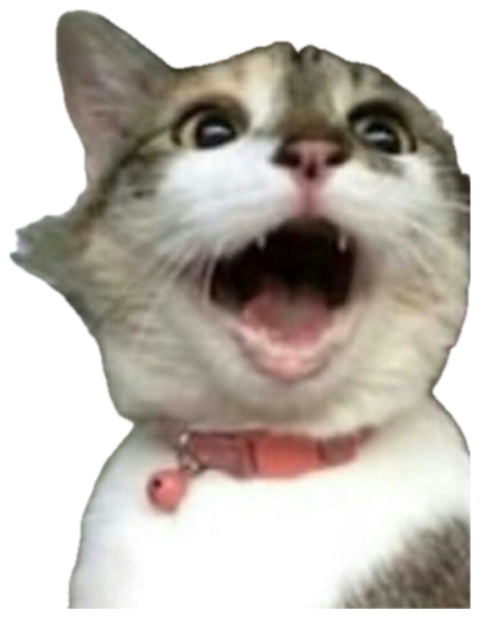 Wide-eyed cat with mouth open in delight surrounded by pink heart emojis sticker