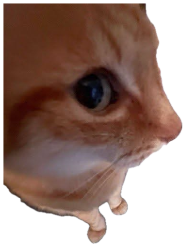 Orange cat leaning in close with a wide-eyed, suspicious side-eye sticker