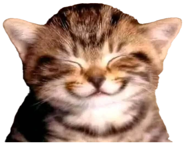 Tabby kitten with its eyes squeezed shut in an enormous happy grin sticker