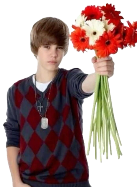 Young Justin Bieber holding out a bouquet of red flowers toward the camera with a neutral expression sticker