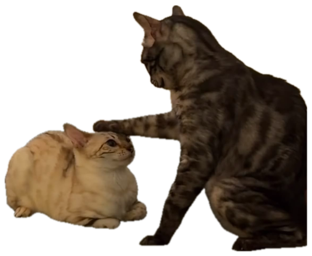 Large tabby cat placing its paw firmly on a smaller cat's head in a dominance move sticker
