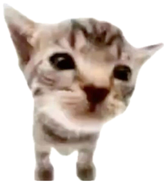 Tiny kitten staring up in disbelief captioned 'i beg your finest fucking pardon' sticker