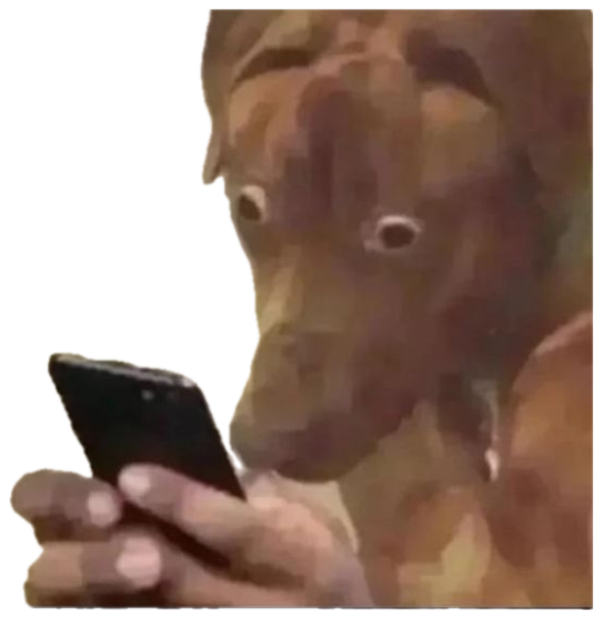 Wide-eyed dog staring at a phone screen in disbelief sticker