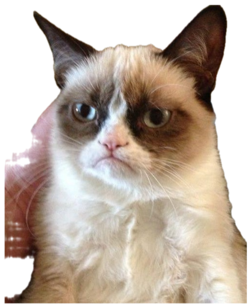 Grumpy Cat staring straight ahead with its iconic permanently unimpressed frown sticker