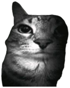 Tabby cat half-lit in the dark giving a moody, deadpan stare sticker