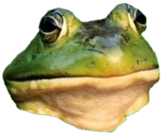 Foul Bachelor Frog meme staring straight ahead with complete smug confidence sticker