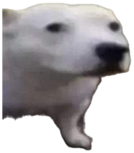 Blurry white dog mid-turn looking baffled next to a big question mark sticker