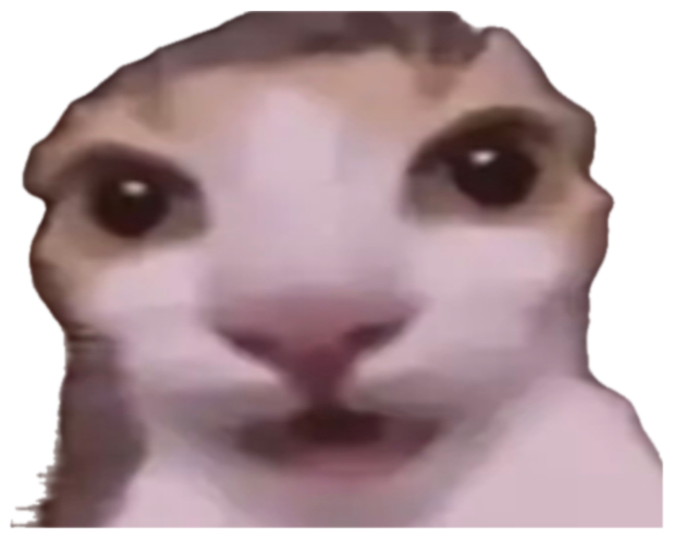 Blurry wide-eyed cat staring at the camera captioned 'ART SO PEAK EVEN KITTY SHOKED' sticker