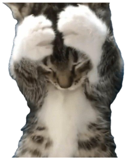 Tiny tabby kitten lying on its back covering its face with its own paws sticker