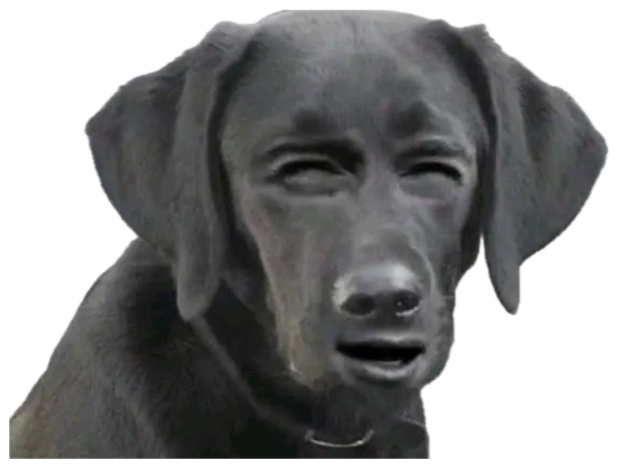 Black lab with a deeply sad, furrowed face that looks almost human in its misery sticker