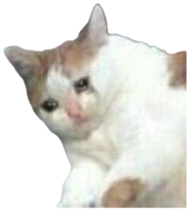 White-and-orange kitten resting on a pillow with big teary, sad eyes sticker