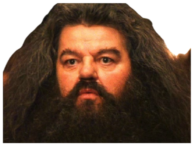 Hagrid from Harry Potter staring ahead with a slightly puzzled, deadpan look sticker