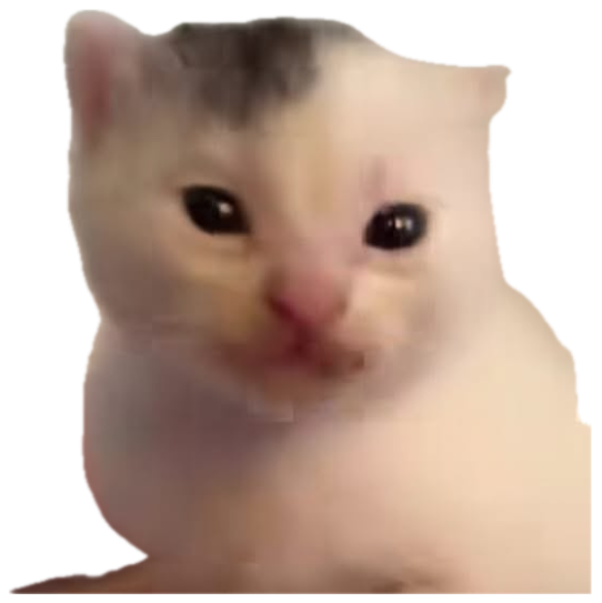 Tiny white kitten with glossy teary eyes looking utterly heartbroken and devastated sticker