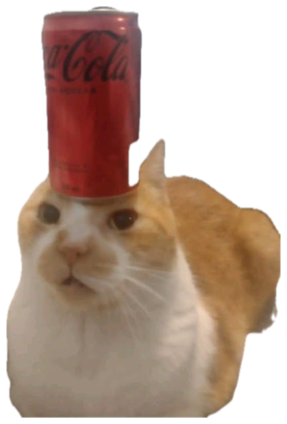 Orange and white cat staring ahead in disbelief with a Coca-Cola can balanced on its head sticker