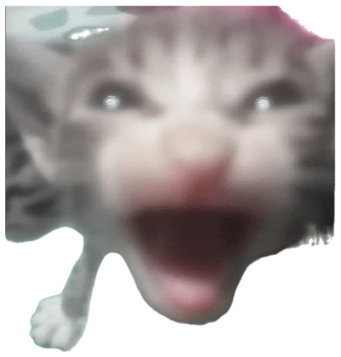 Blurry kitten mid-scream with its mouth wide open sticker
