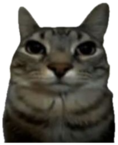 Tabby cat sitting perfectly calm in front of a giant fiery explosion sticker