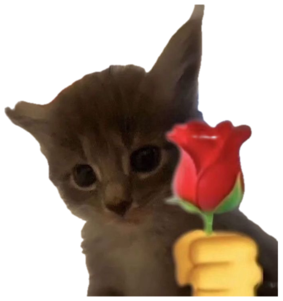 Fluffy kitten staring up with a cartoon emoji hand offering it a red rose sticker