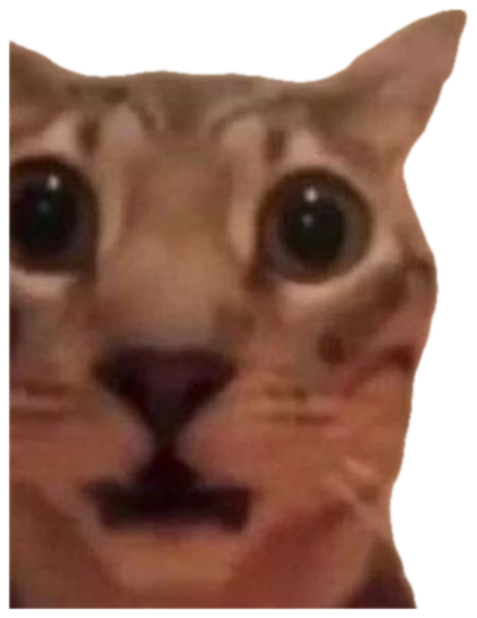 Orange tabby cat with enormous dilated eyes, mouth slightly open in alarm sticker