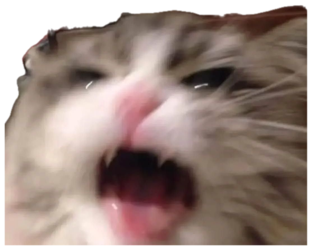 Fluffy cat caught mid-yowl with its mouth wide open and eyes squinting sticker