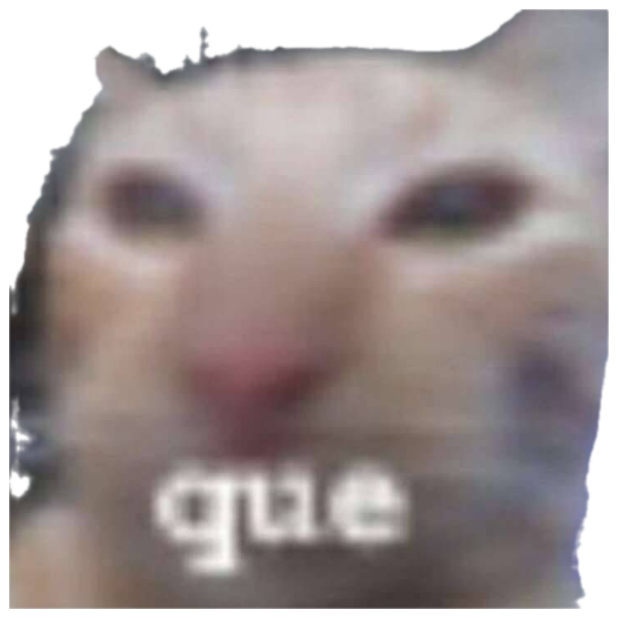 Orange cat squinting with glassy eyes captioned 'que' - maximum confusion achieved sticker