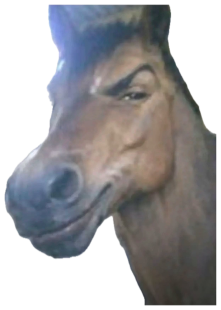 Horse with a photoshopped raised eyebrow giving a smug, flirty smirk sticker