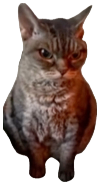 Chunky brown tabby sitting upright with a flat, deeply unimpressed glare sticker