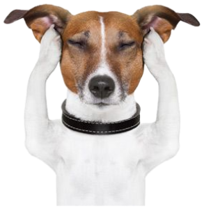 Jack Russell terrier with paws to its head and a glowing lightbulb above, deep in thought sticker