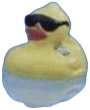 Rubber duck in sunglasses floating in a pool with 'Splish Splash Your opinion is trash' sticker