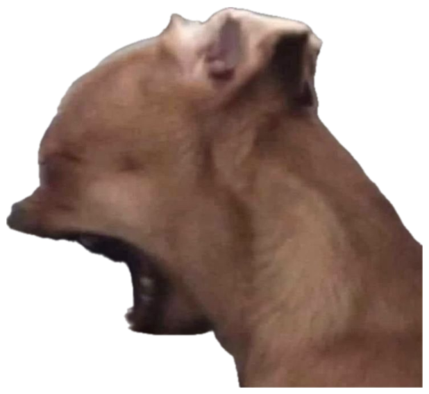 Ginger dog on a bed throwing its head all the way back in pure exasperation sticker