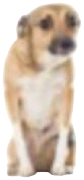 Small tan dog sitting upright with a tilted head and a question mark beside it sticker