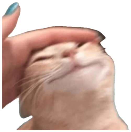 Orange tabby cat getting its cheeks squished by a hand and looking extremely smug about it sticker
