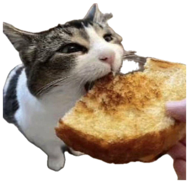 Tabby cat biting into grilled cheese with absolute conviction sticker