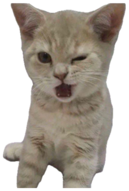 Cream kitten mid-wink with its mouth open, captioned 'Como estas fine shyt' sticker