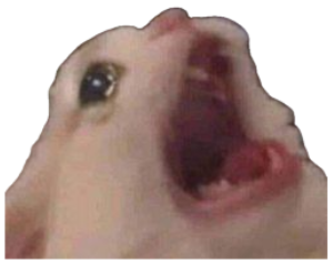 Hamster or rat with mouth gaping wide open caught mid-scream up close sticker