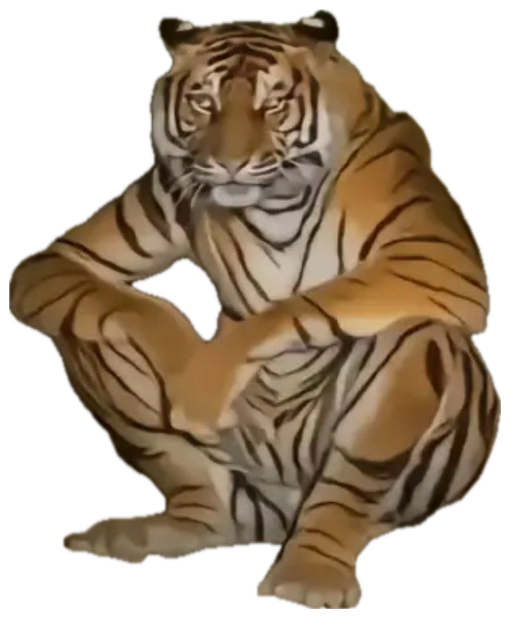 Tiger crouched on its haunches at night looking tired and defeated sticker